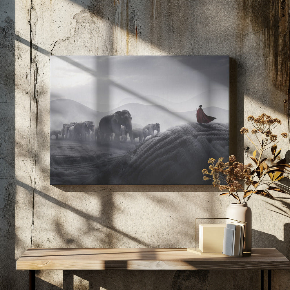 Robin des Bois | Toile