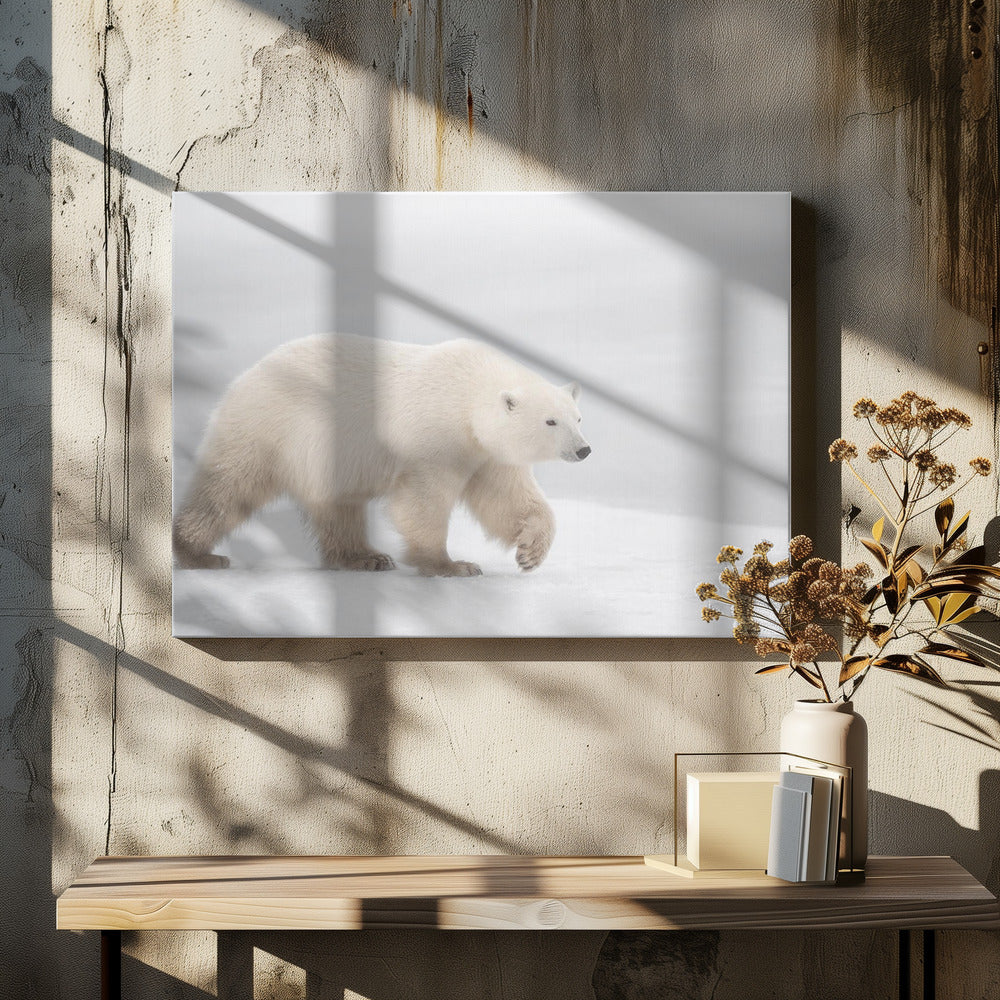 Wit | Canvasprints
