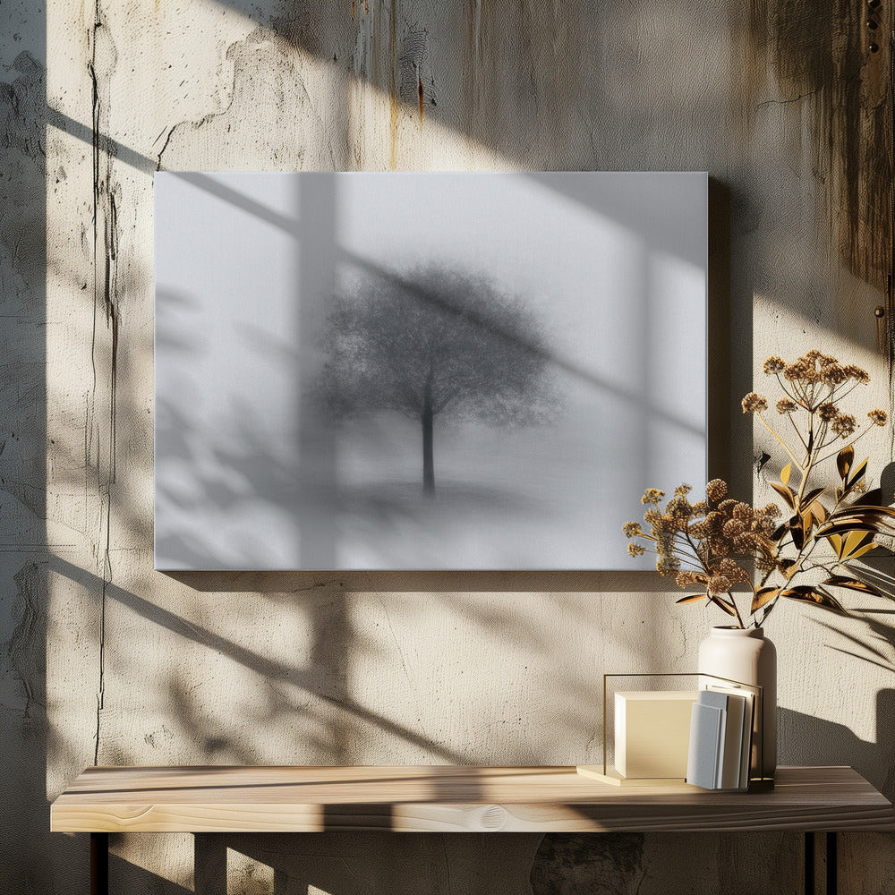 Träd i dimma | Canvas