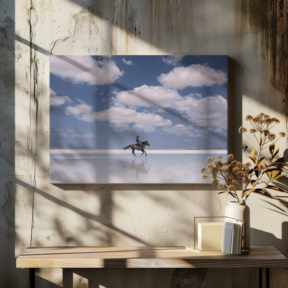 Zoute Ruiter | Canvasprints