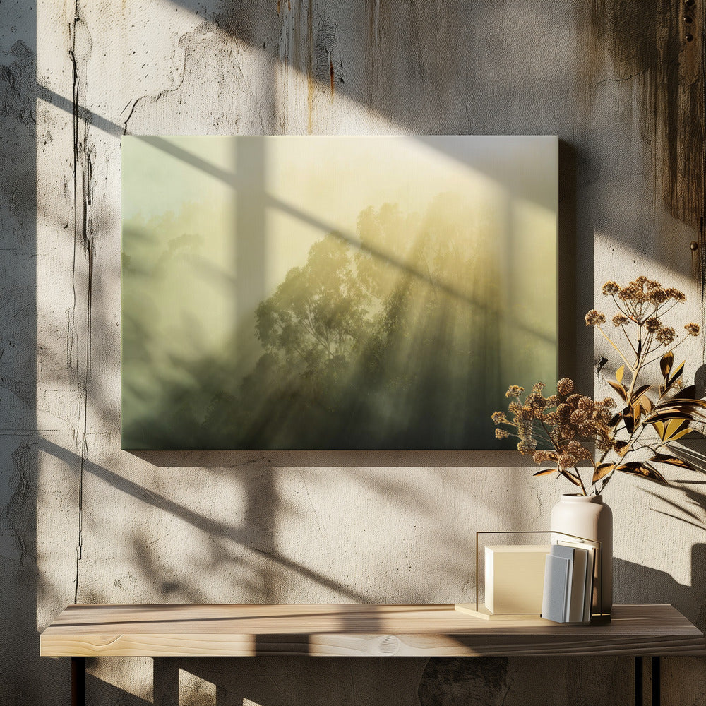 Bois brumeux III | Tableaux sur Toile