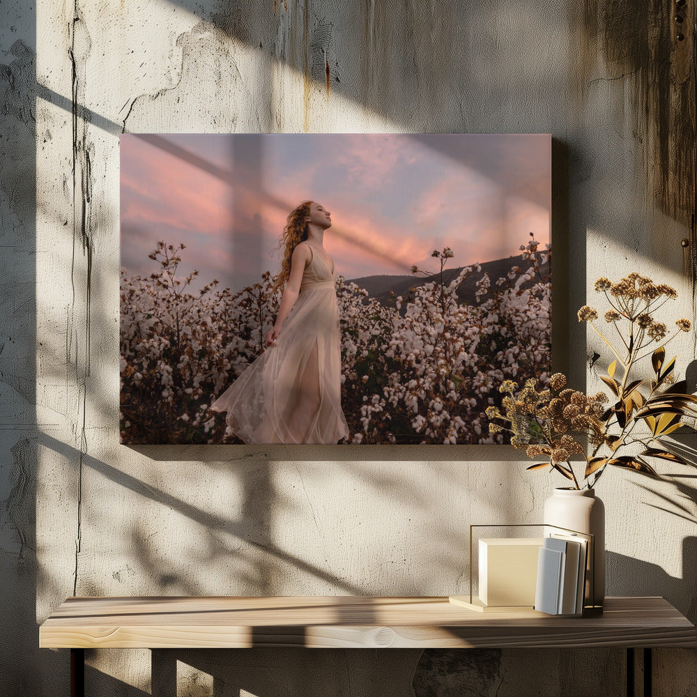 Zonsondergang in het katoenveld | Canvasprints