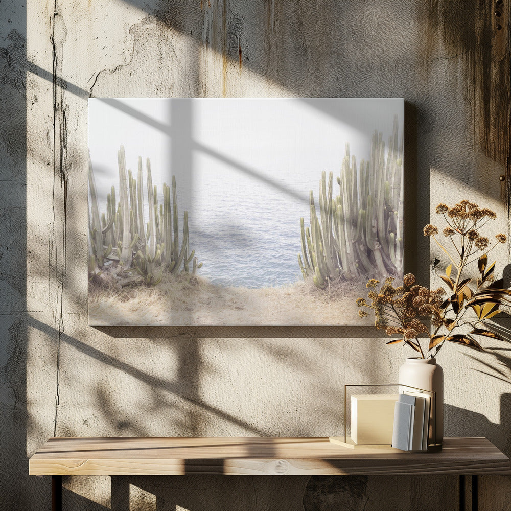 Havskaktus | Canvas