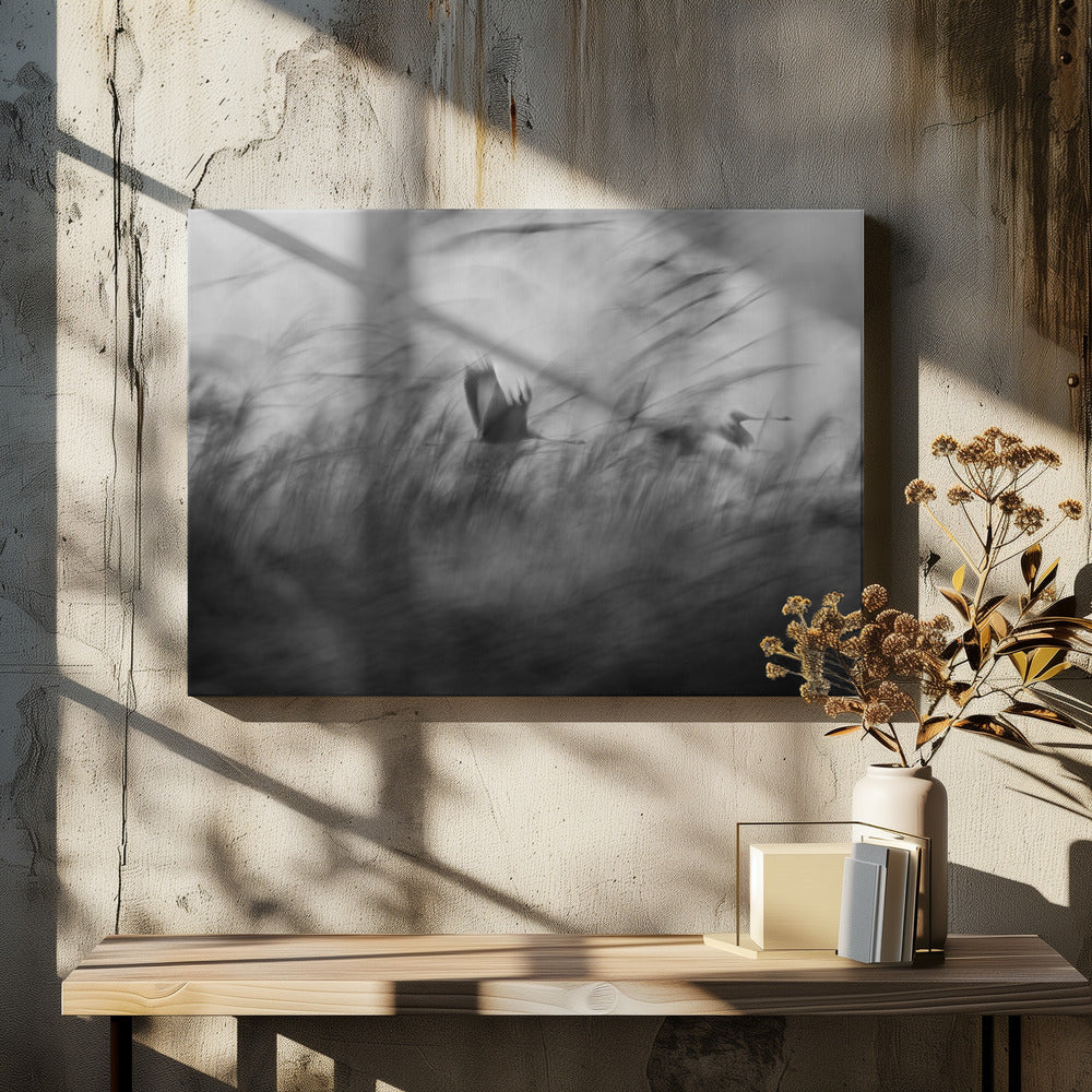 Out of the Blue | Canvas