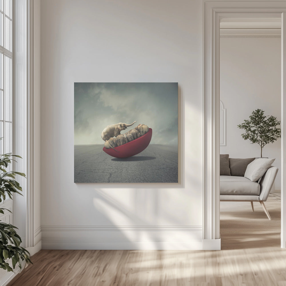 La vie est un équilibre | Canvas