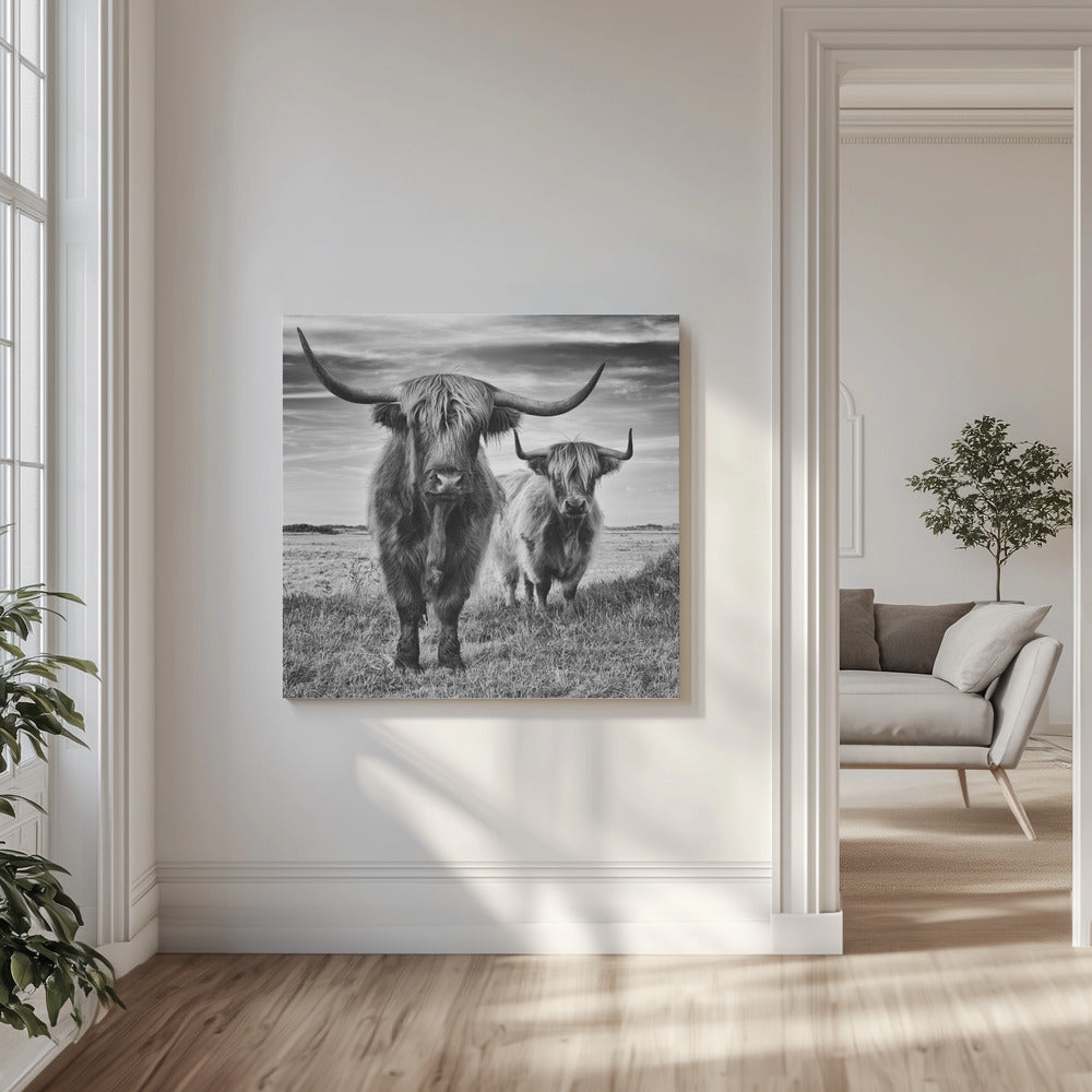 Hautes Terres | Tableaux sur Toile