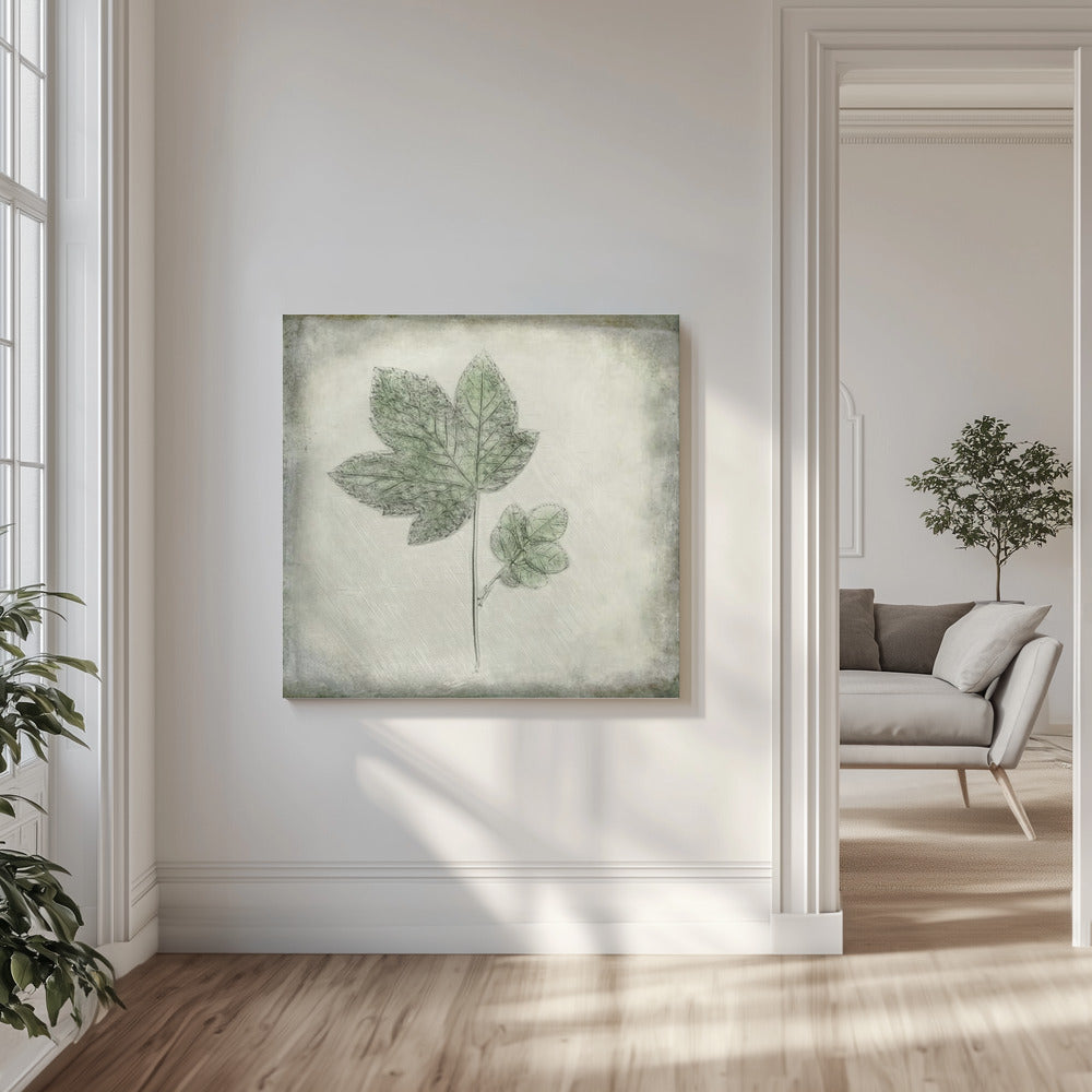 Avant le déclin | Toile