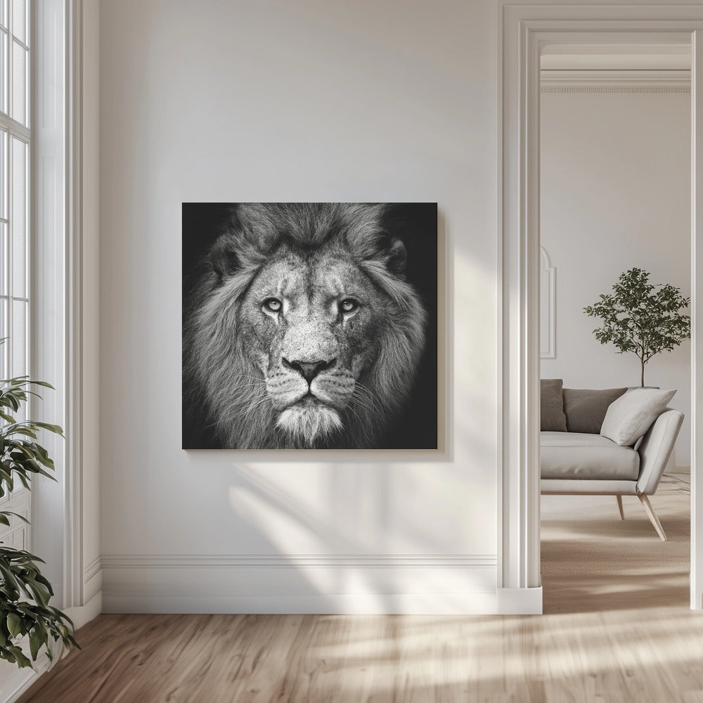 Fixe-moi #3 | Tableaux sur Toile