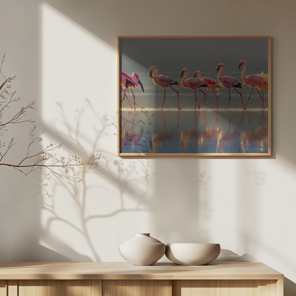Flamingo | Plakater - Kunsttrykk