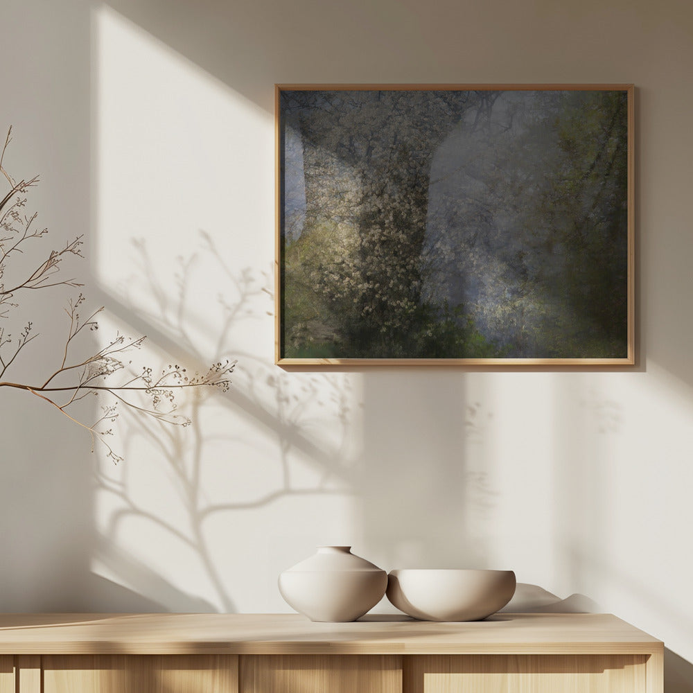 Blossom | Poster