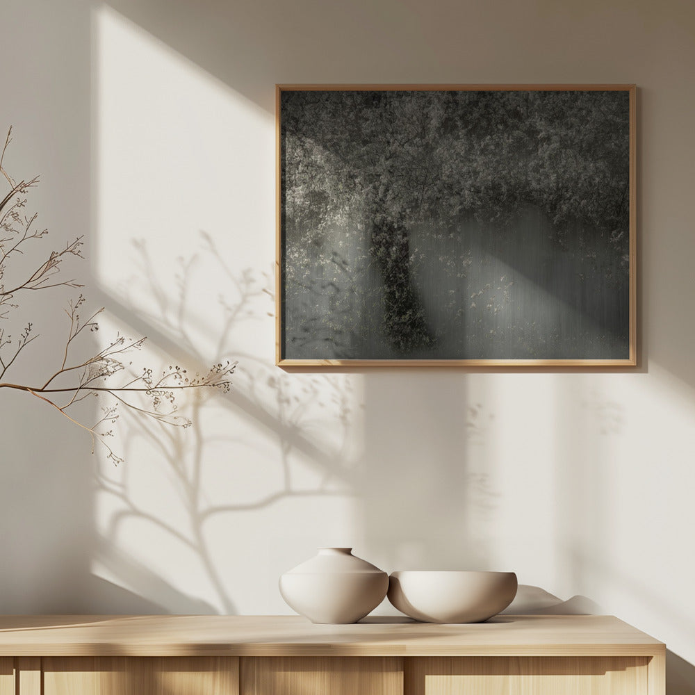 White blossom | Poster