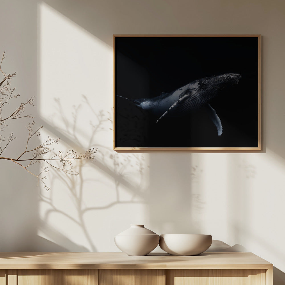 Schwarz & Wal | Poster - Kunstdruck