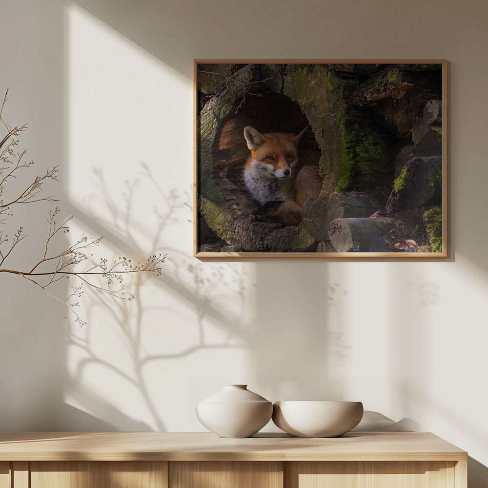 Fuchs | Poster - Kunstdruck