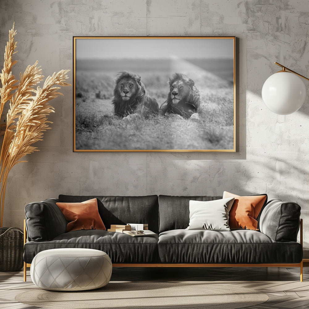 Zwei Könige | Poster - Kunstdruck