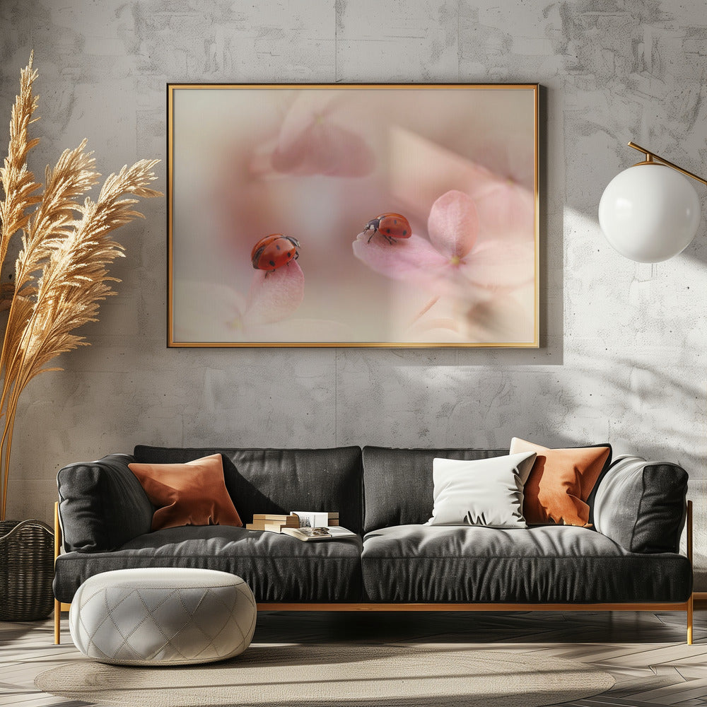 Coccinelles sur hortensia rose. | Posters - Affiche Artistique