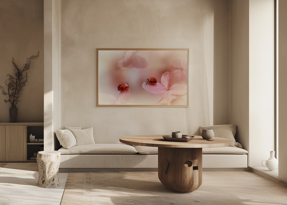 Coccinelles sur hortensia rose. | Posters - Affiche Artistique