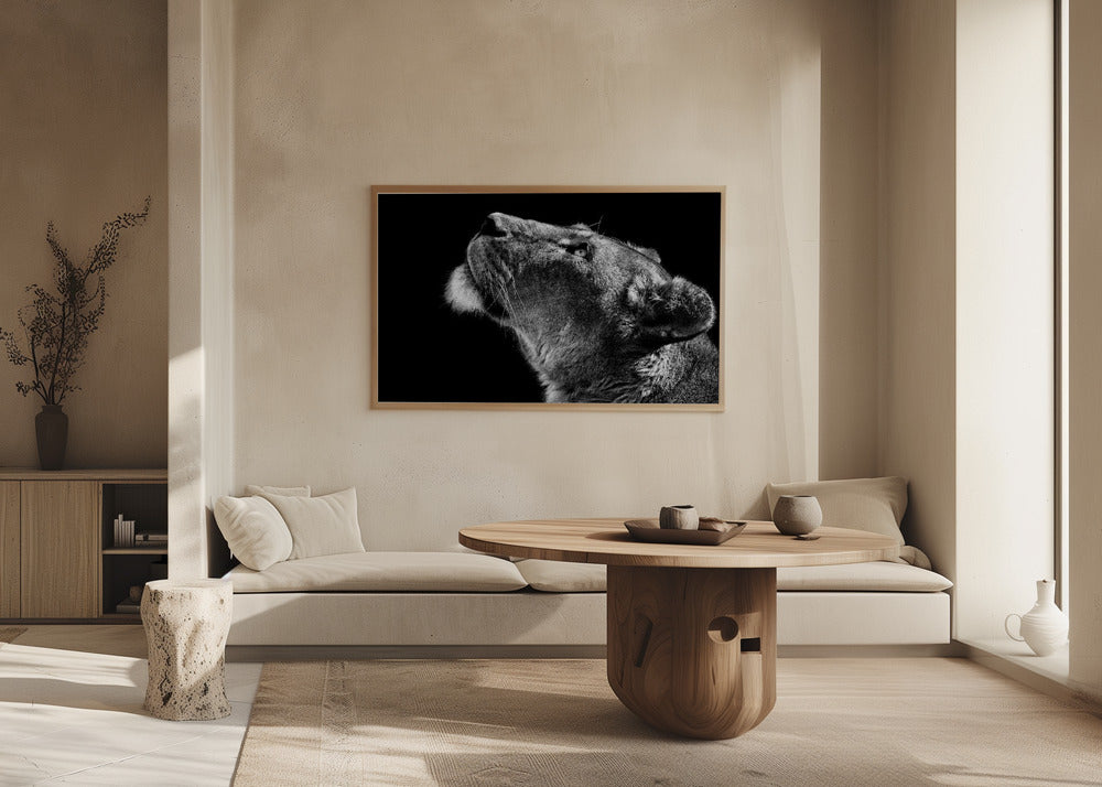 Guardando in alto | Poster - Stampe d’Arte