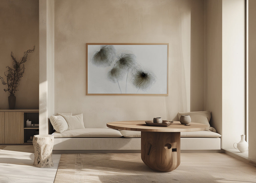 Clematis | Poster