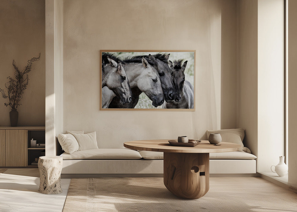 Quattro cavalli Konik | Poster - Stampe d’Arte