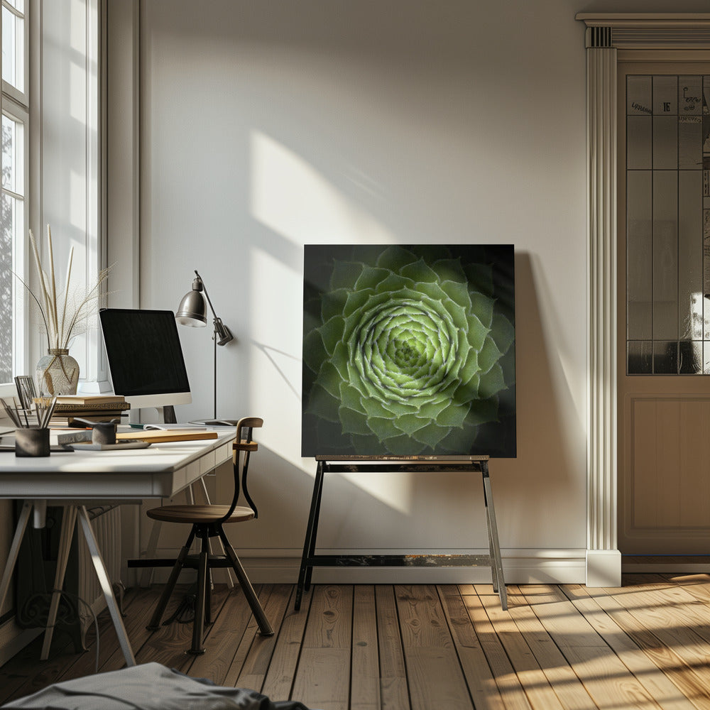 Succulente | Tableaux sur Toile