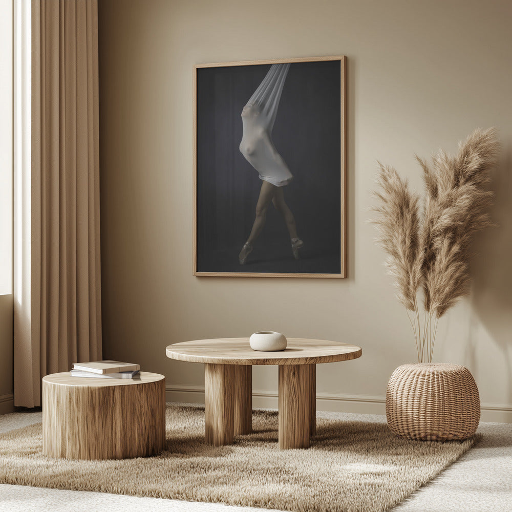 Sheer Stretch | Poster