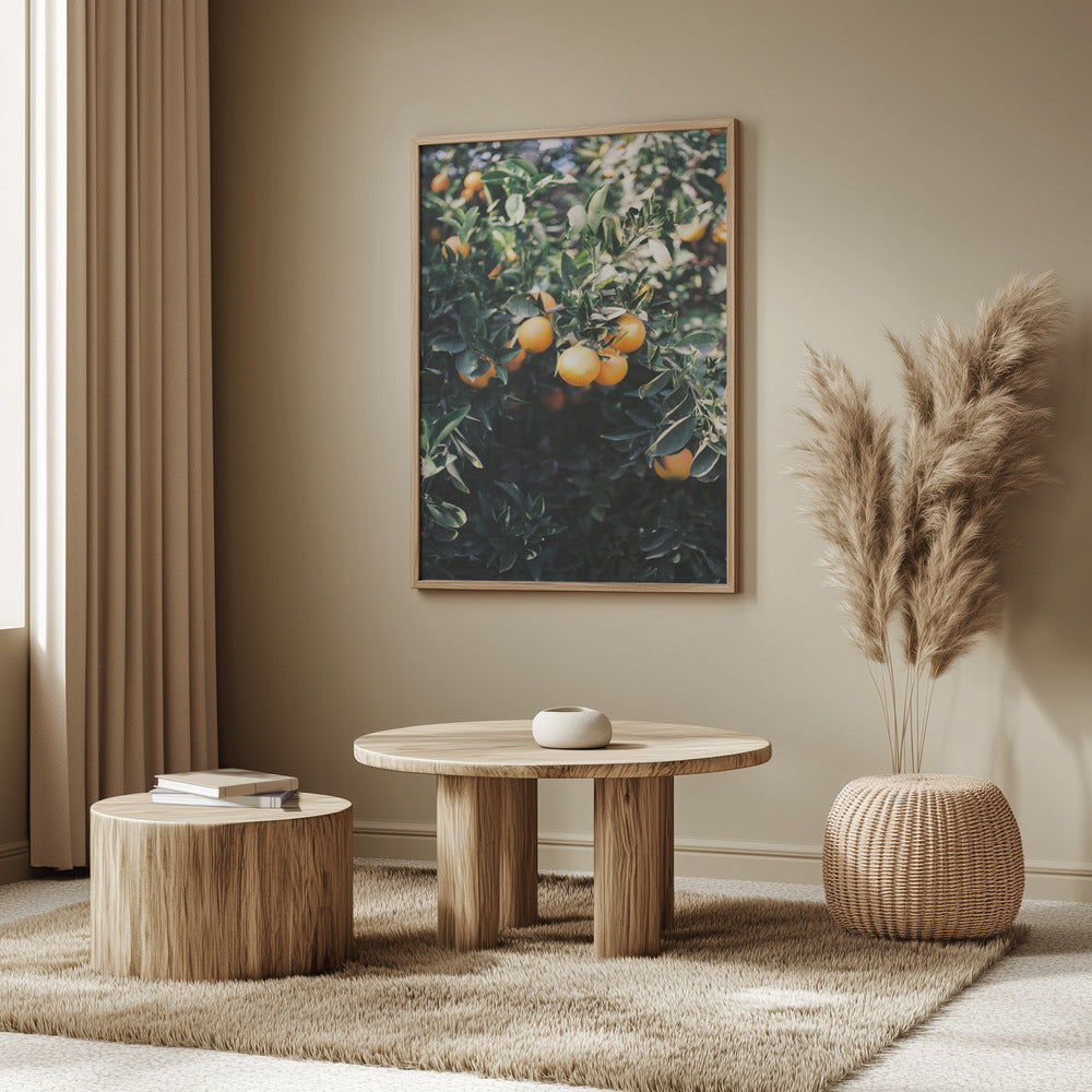 Marrakesh Oranges | Poster