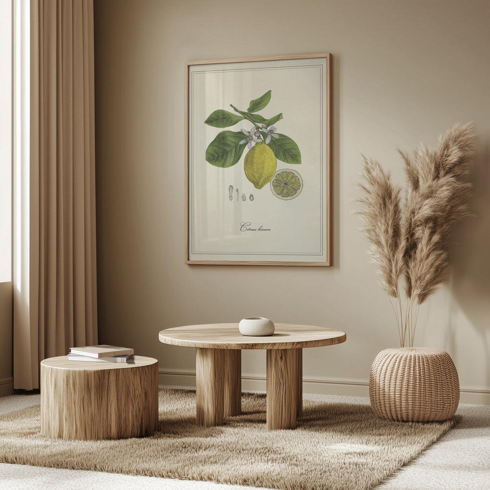 Lemon | Poster