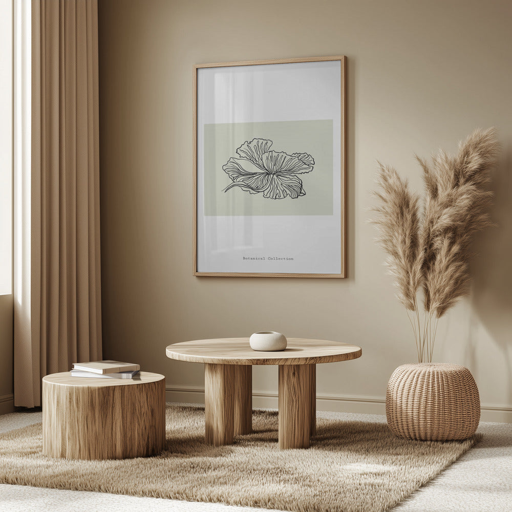 Gossamer Petals | Poster