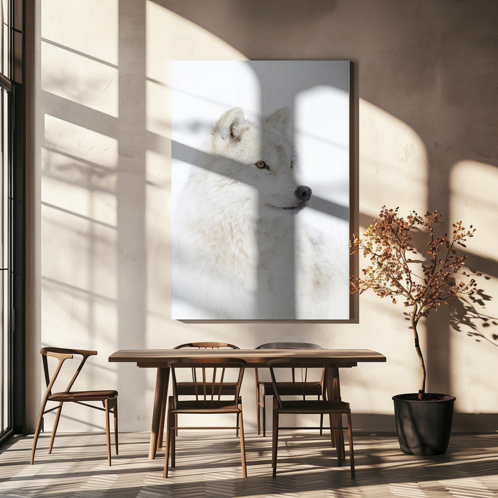 Porträtt av en arktisk varg | Canvas