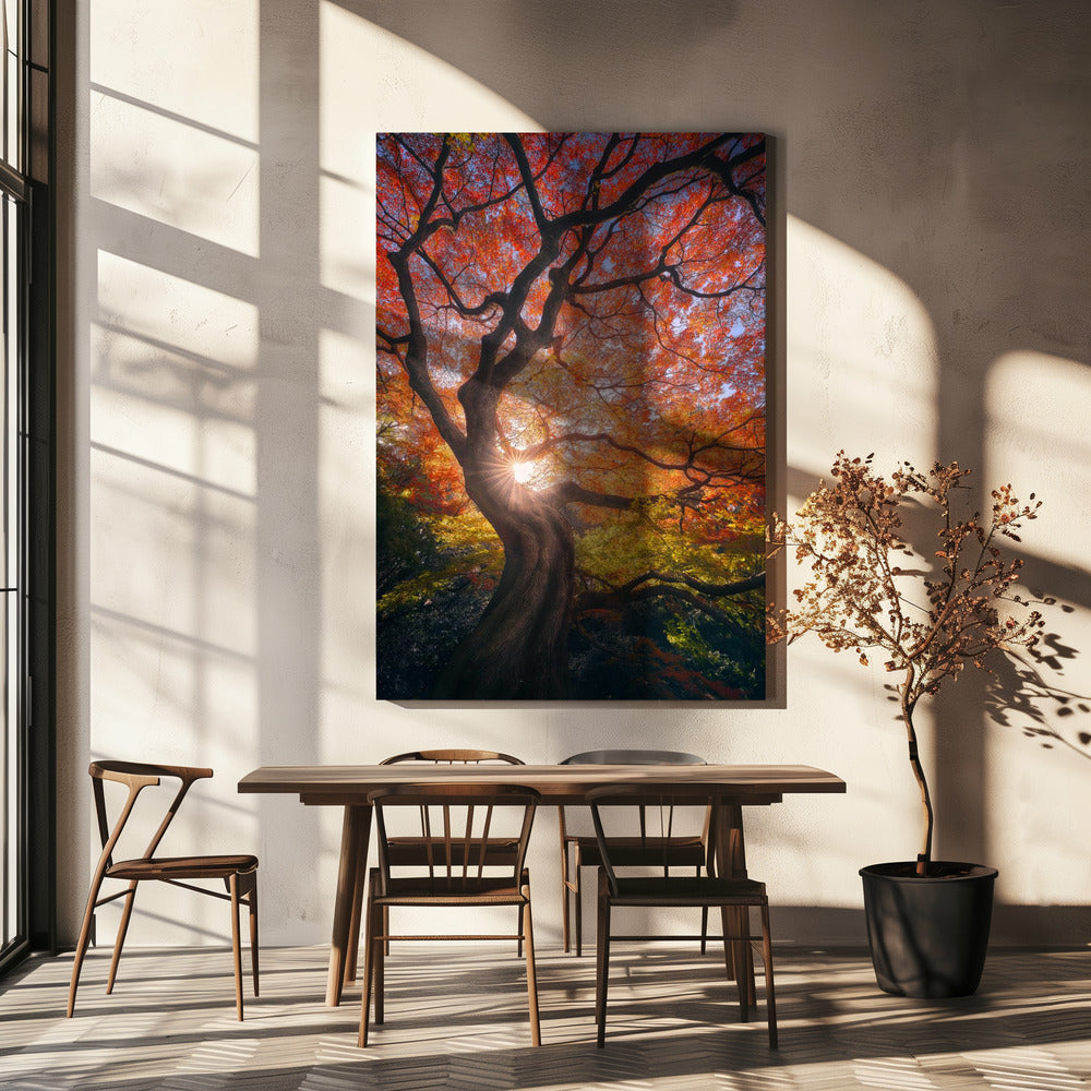 Der japanische Baum | Leinwand-Bilder