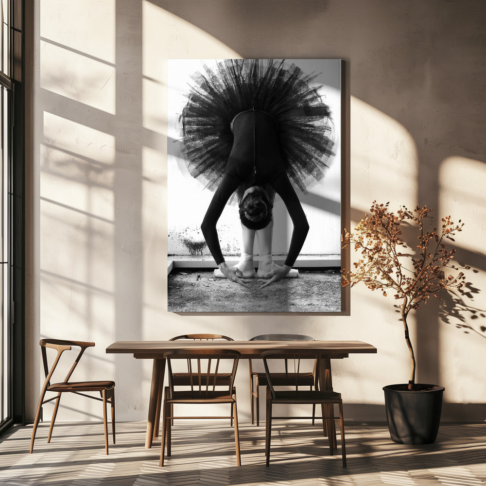 Ballerina | Canvas