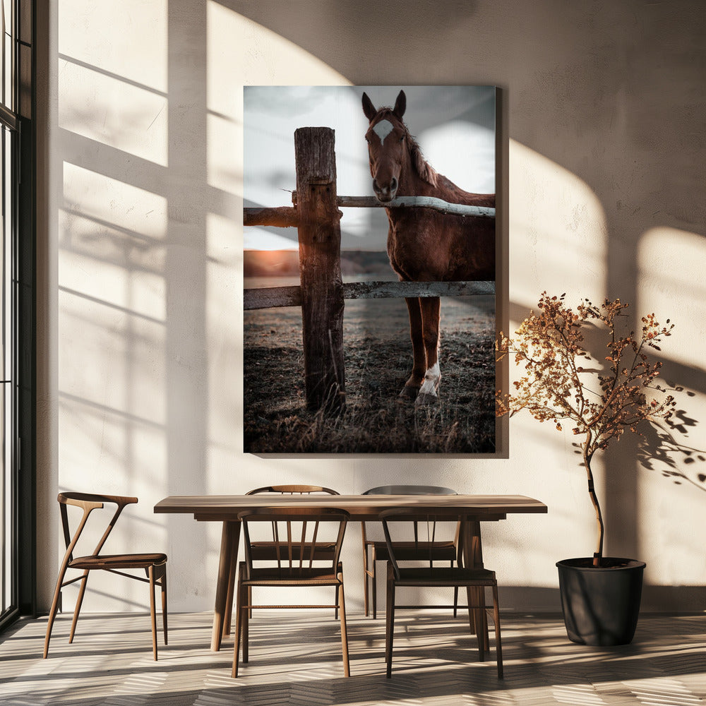 Ferme équestre à Skároš, Slovaquie | Toile