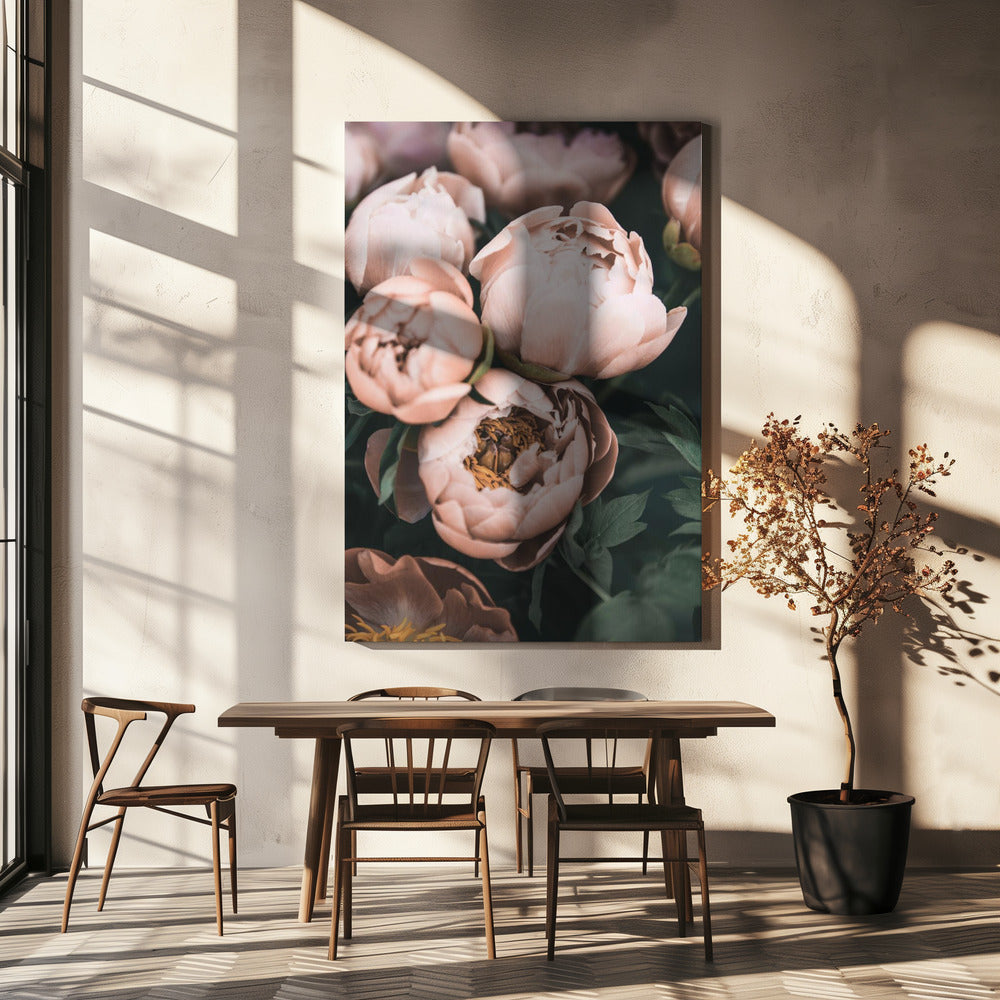 Koraalpioenrozen | Canvasprints