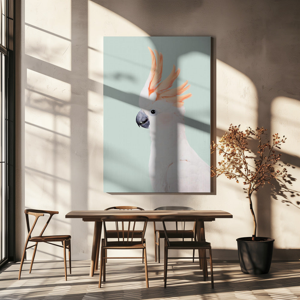 Kakadua | Canvas