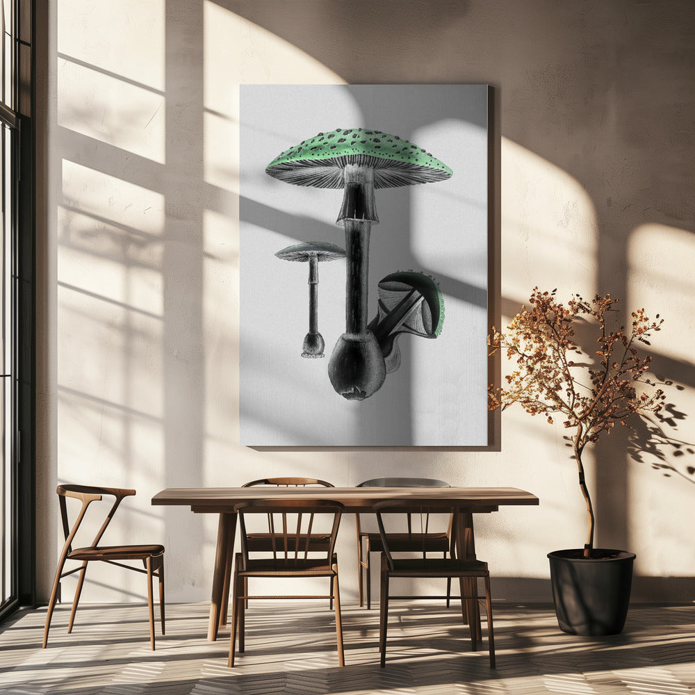 Amanita Muscaria Fondo Blanco Verde | Impresiones en Lienzo