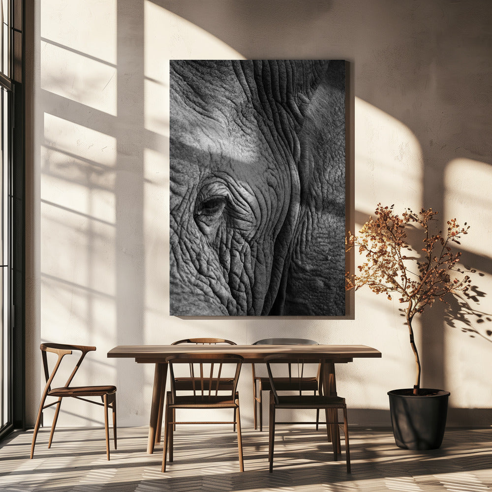 Elefantstudie | Canvas