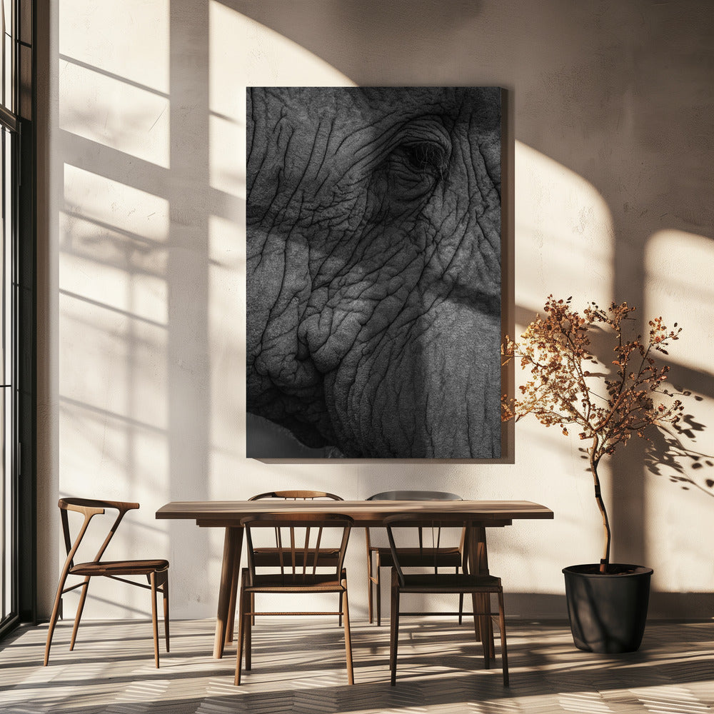 Elefant 01 | Canvas