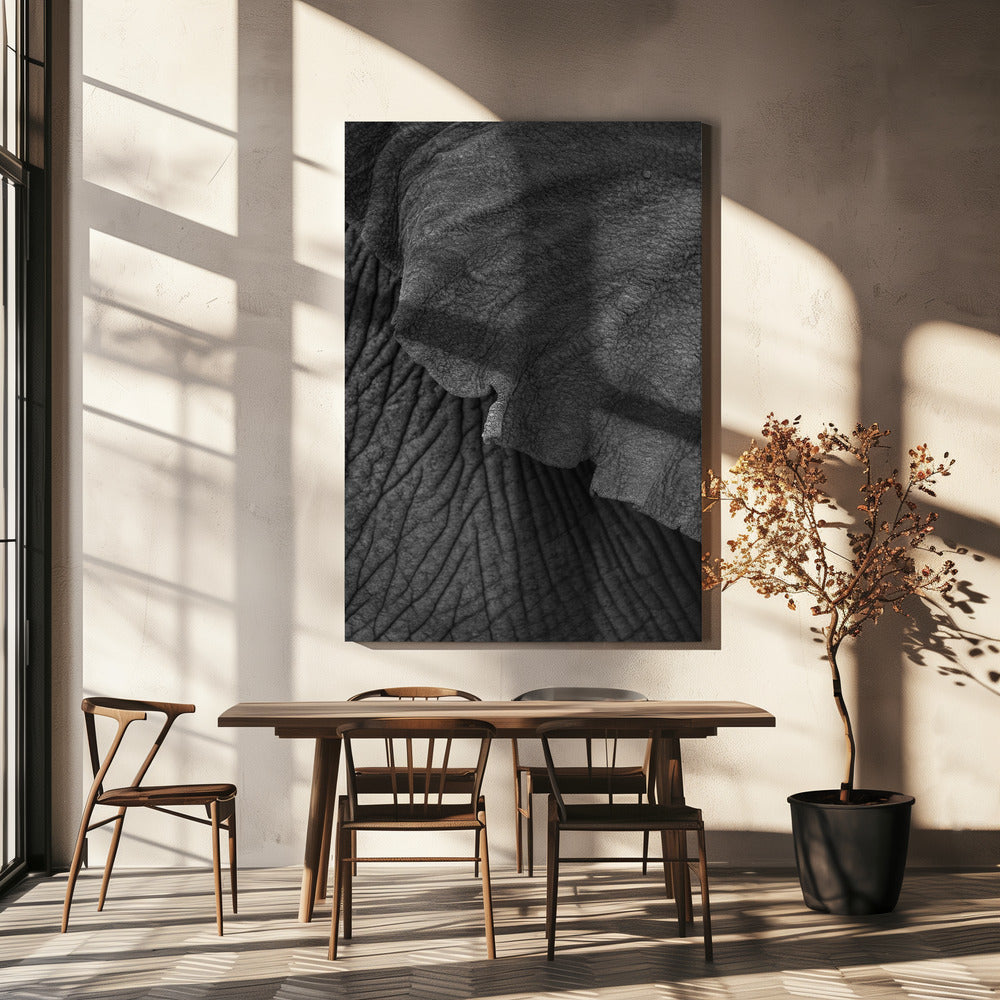 Elefant 02 | Canvas