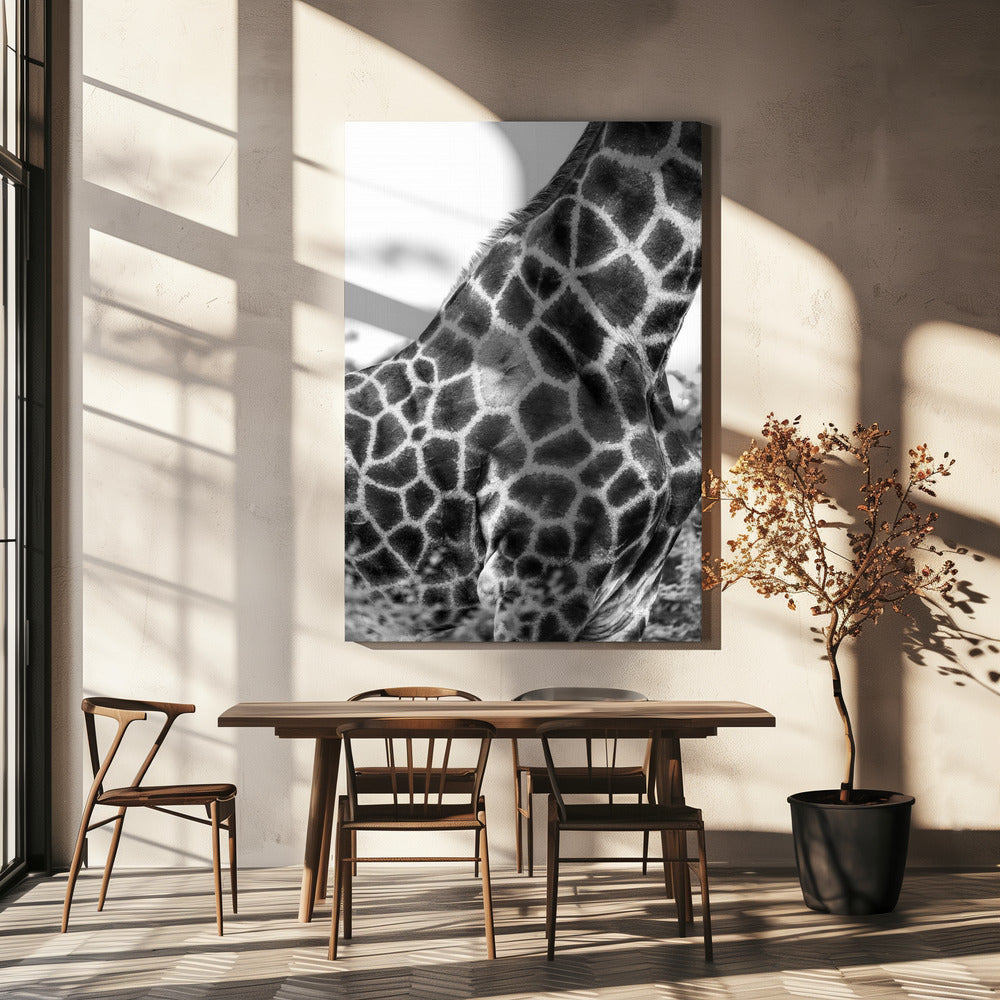 Supersafari nr 3 | Canvas