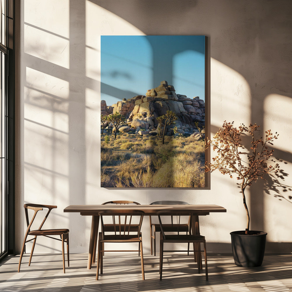 Tramonto a Joshua Tree | Stampe su Tela