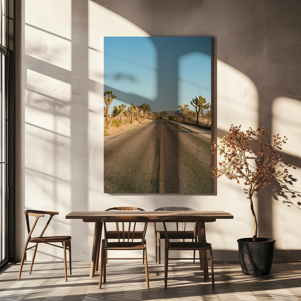 Joshua Tree Road II | Canvastaulut