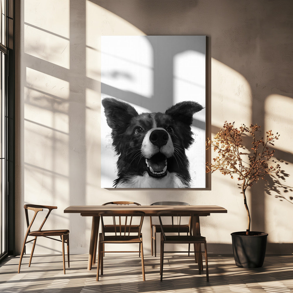 Glædesfuldt hundeblik | Lærredsbilleder