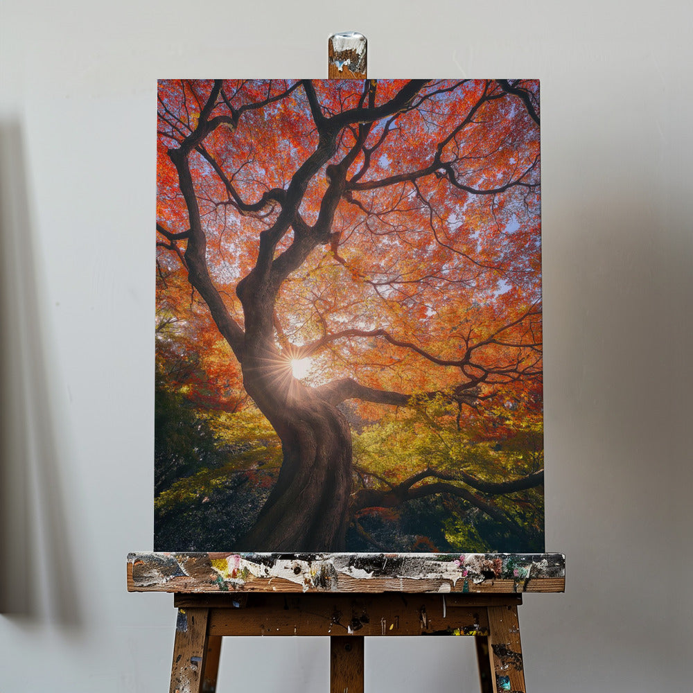 Der japanische Baum | Leinwand-Bilder