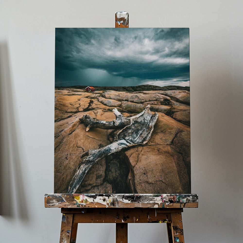 Bois flotté | Toile