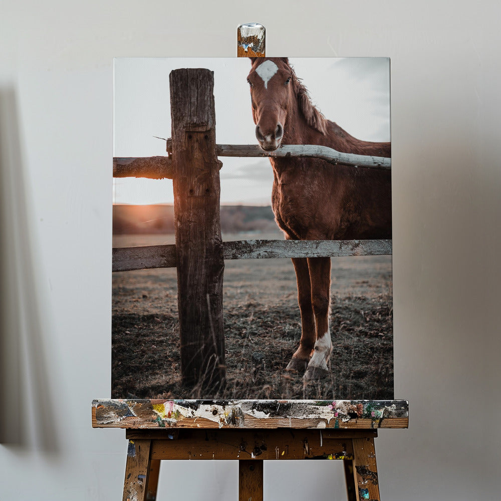 Ferme équestre à Skároš, Slovaquie | Toile