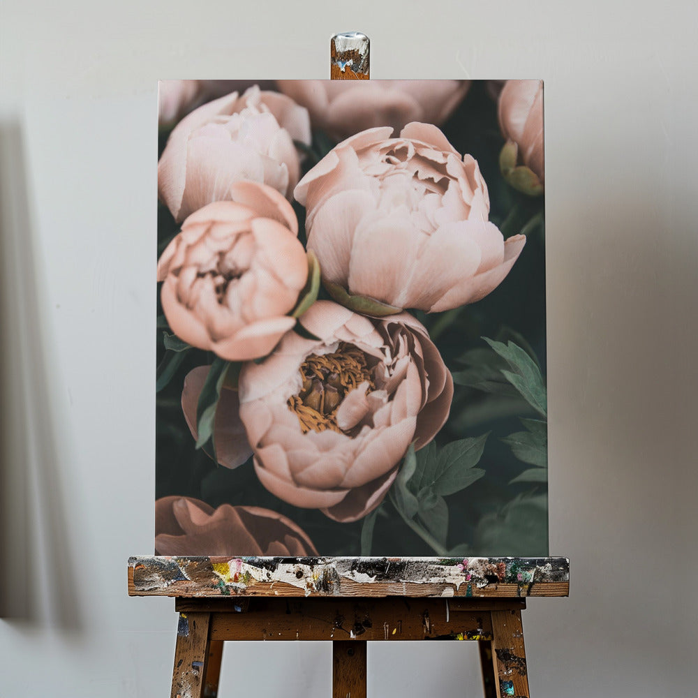 Koraalpioenrozen | Canvasprints