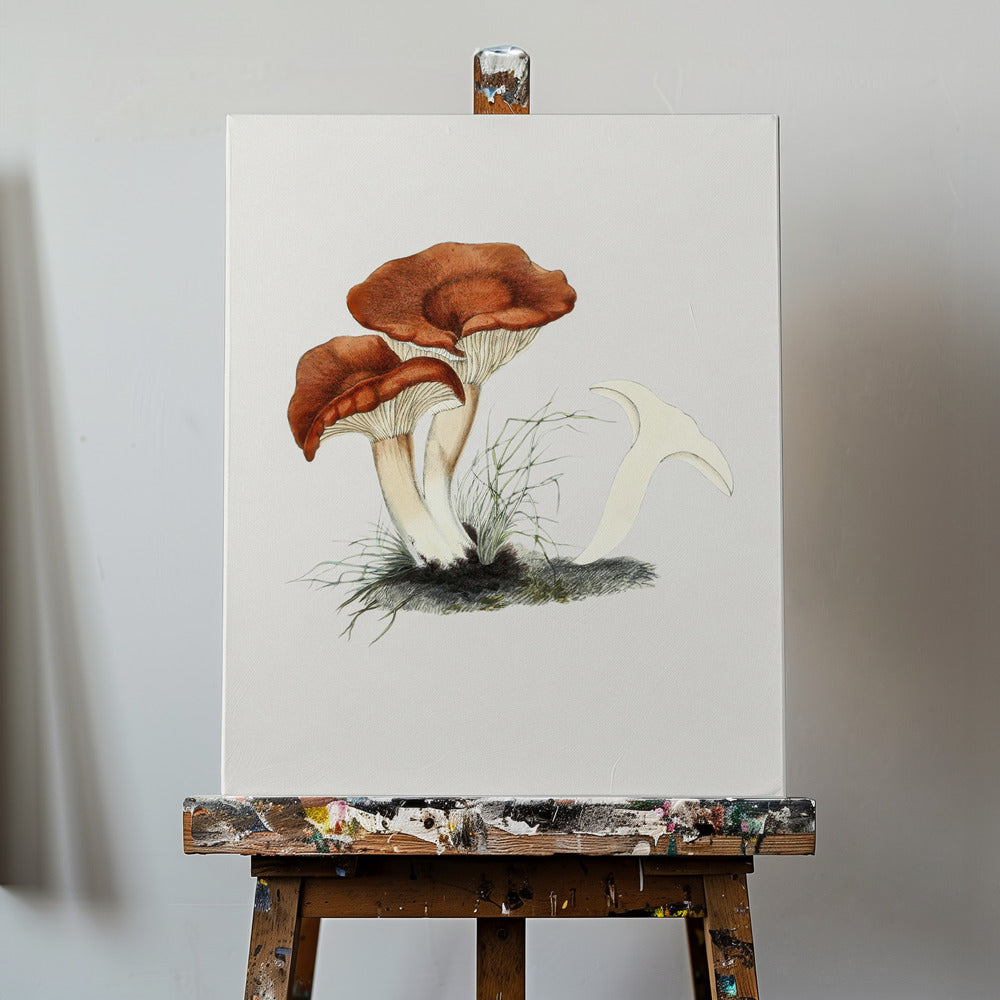 Käsin piirretty rufous milkcap -sieni | Canvastaulut