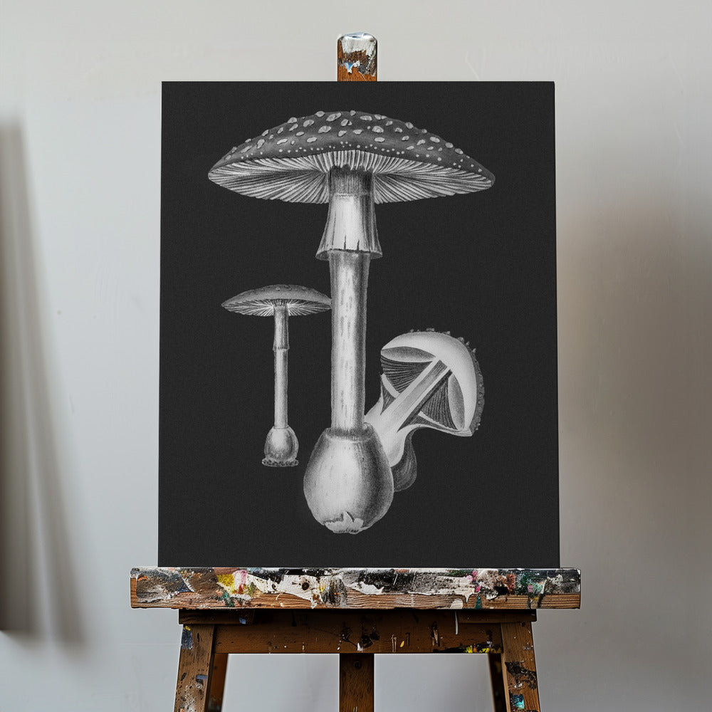 Amanita Muscaria mørk baggrund sort/hvid | Lærredsbilleder