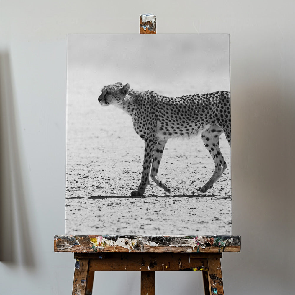 Cheetha | Canvas