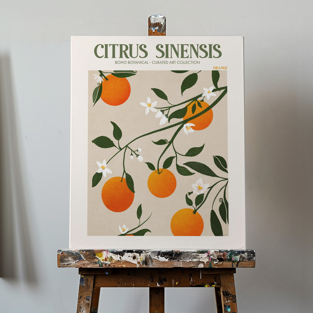 Citrus Sinensis - Apelsin | Canvas
